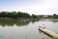 秋老虎季节坑塘钓鱼攻略