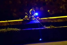 变色夜光漂会不会惊吓到鱼？客服小哥说了实话，听听我的建议