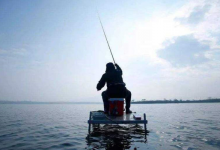 售价贵的十种淡水鱼多是“牢底坐穿鱼”，钓友谨记：钓获要放流