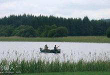 春钓野塘的钓法与注意事项