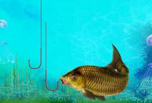 造成鱼吃饵挡口除钓钩大、子线粗外还有一个原因，你知道吗？