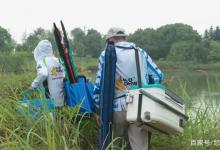 10款自制鲤鱼饵料，效果不输商品饵