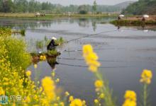 春季钓鱼的七个窍门与时机讲解