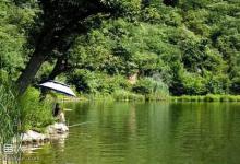 浅谈夏季野钓的技巧（天气、钓组、钓位、钓饵等）