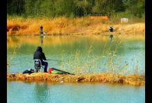 野钓鲫鱼实战案例：充分发挥长子线优势，最后钓得盆满钵满