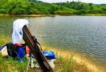 入伏前后也有钓鱼的窗口期，抓住时机，连竿上鱼依然值得期待