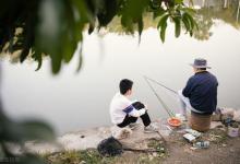 窝料和饵料搭配有“潜规则”，熟知不易打龟