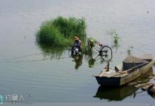 北方钓鱼黄金季节之夏季钓鱼