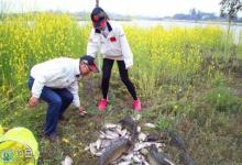 春季钓鱼的四个选择（天气水域钓位与时机）