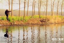 春季钓鱼分三季早春仲春和暮春的技巧