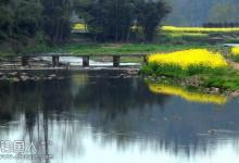 阳春三月到底该怎么钓鱼好