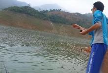 为何打窝以后没鱼进窝？多是方式不对头，教你正确打窝方式