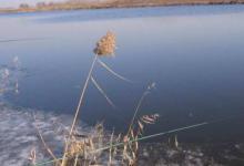 降温时鱼难钓，升温时鱼也同样不好钓，甚至比降温时还难钓