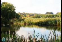 秋季野钓技巧（饵料、钓位、提竿等）