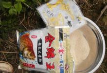 春日钓鲫：咬钩不咬钩 关键在饵料[llhlhz]