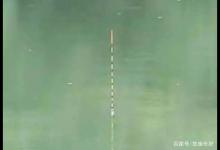 钓友们不要再刻意追求调几钓几了，不仅是不习惯，更是影响渔获