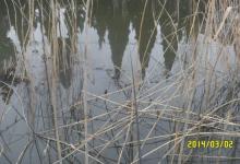 充满活力的春天 寻找野钓的意义[剑鸣秋气来]