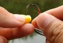 玉米挂钩方法决定垂钓效果，例举常见的8种，总有一种适合你