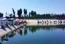 衔着“宝石”的青鱼，曾为四大家鱼之首，现在为啥沦成工具鱼？