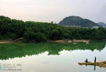 夏季钓鱼要先了解鱼的趋氧性