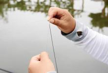 盘点由钓底改为钓浮的5种情景，及时做出调整，不愁没有鱼口