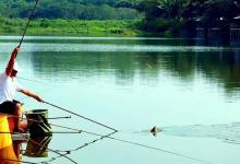 善钓者必善诱，熟知这四种打窝方式的优缺点，你也是钓鱼高手