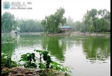 夏季钓鱼十个技巧大全的详细介绍