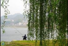 盛夏钓鱼技巧（钓位、时机、天气、饵料）