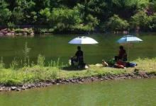 夏季野钓用多大钓钩？老问题新见解，带给你不一样的认知