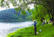 这三种昆虫作饵是钓鱼利器，效果远超普通饵料，但要注意两点