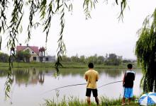 人不舒适时鱼却感觉舒适，正是钓鱼的大好时机，千万别错过！