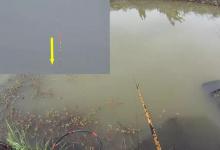 销魂大顿口却不“销魂”，均提竿“空枪”，这鱼还怎么钓？