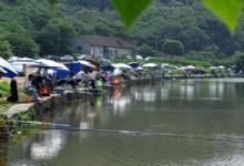 端午节时期钓鱼技巧解析