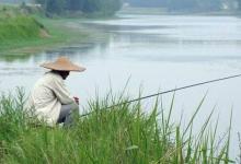 垂钓中长时间看不到鱼口，调整顺序应该是这样的，你做对了吗？