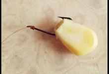 玉米是素饵之王不是徒有其名，做好这几个细节，就能钓得风生水起