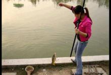 立秋后的钓鱼技巧详解