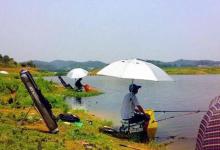 是可忍孰不可忍，钓鱼蹭窝还口出不逊，换你怎么做？