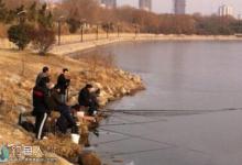 冬季晴天去钓鱼没有口我们该怎么办