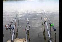 浮漂表达出来鱼的吃口弱，是哪些原因造成的？我们怎么解决？