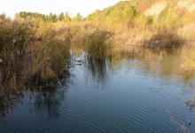 深秋钓鱼时想要有个好点的渔获，必须要遵守的四个原则