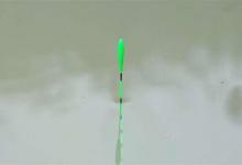 使用玉米粒钓鱼，浮漂应该怎么调？就是钓鱼老手有时也弄错