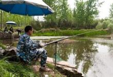 春季钓鱼技巧总结（时机、钓位、钓组、饵料）