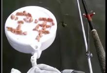 鱼上浮有四种情形，两种上浮能连杆，另两种建议您打道回府