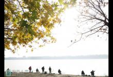 秋季气温的四个阶段钓鱼技巧