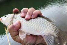 冬季大降温后鱼都躲哪了？这4个地方是鱼窝，多数钓友不知道