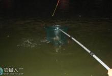 夏季夜钓的七个实用常识