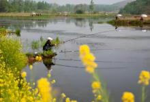 说好的那大板鲫跑哪里去了？说到底是因为出钓的节奏没把握好