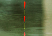 带饵调漂优点多多，但弊端也很明显，怎么做才能趋利避害？