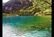 依据水的颜色判断鱼情，在夏天尤为实用，这一招高手们都在用