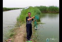 在盛夏垂钓要择天择时选点和用饵下工夫才行